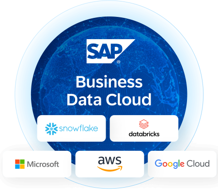 SAP BDC Apollogic-minify